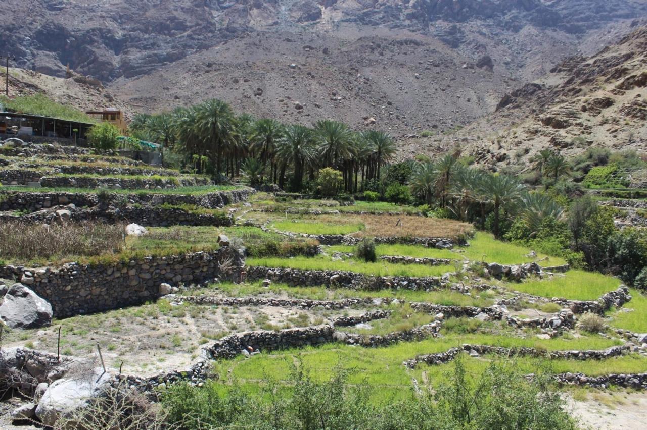وادي بني حراص بولاية نخل وجهة سياحية وملاذا طبيعيا يستهوي الزوار — 8