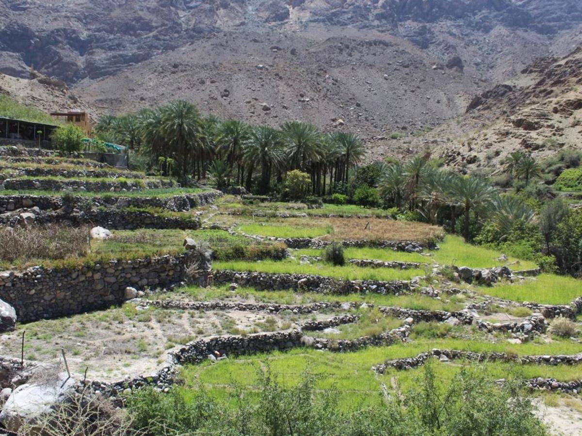 وادي بني حراص بولاية نخل وجهة سياحية وملاذا طبيعيا يستهوي الزوار — 7