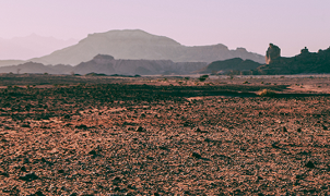 خدمات الاستثمار في الأراضي السياحية