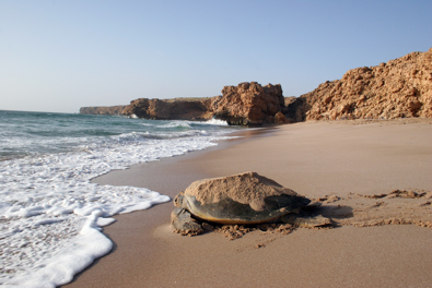 الوجهات السياحية تستقبل زوار سلطنة عُمان بالموسم الشتوي.. وتكامل جهود شركاء القطاع يوفر تجارب سياحية متفردة