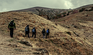 Tourism Activities Licensing Services