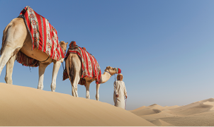 Tourist Guide Licensing Services