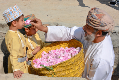 يعد أحد المواسم السياحية التي تجمع بين الإرث والنشاط الاقتصادي.. بدء حصاد الورد في الجبل الأخضر