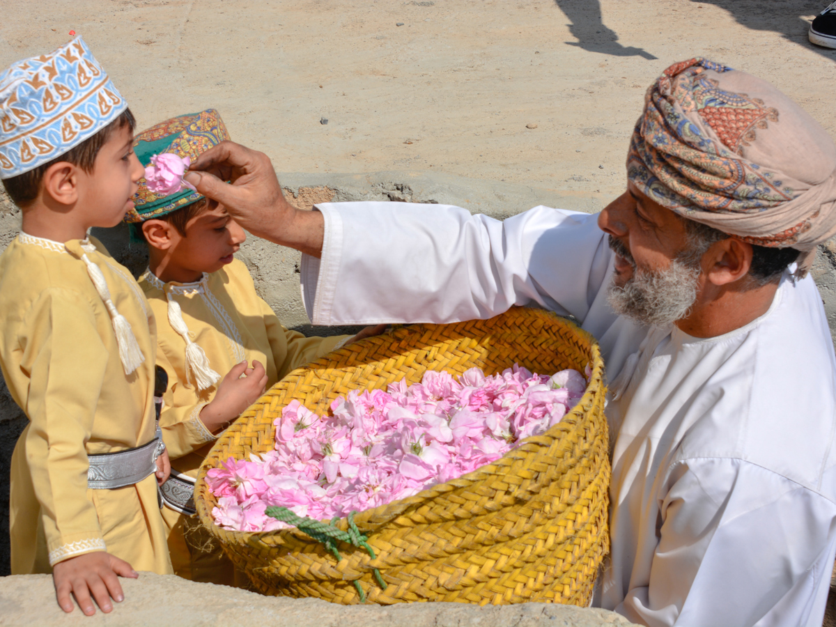 يعد أحد المواسم السياحية التي تجمع بين الإرث والنشاط الاقتصادي.. بدء حصاد الورد في الجبل الأخضر — 1