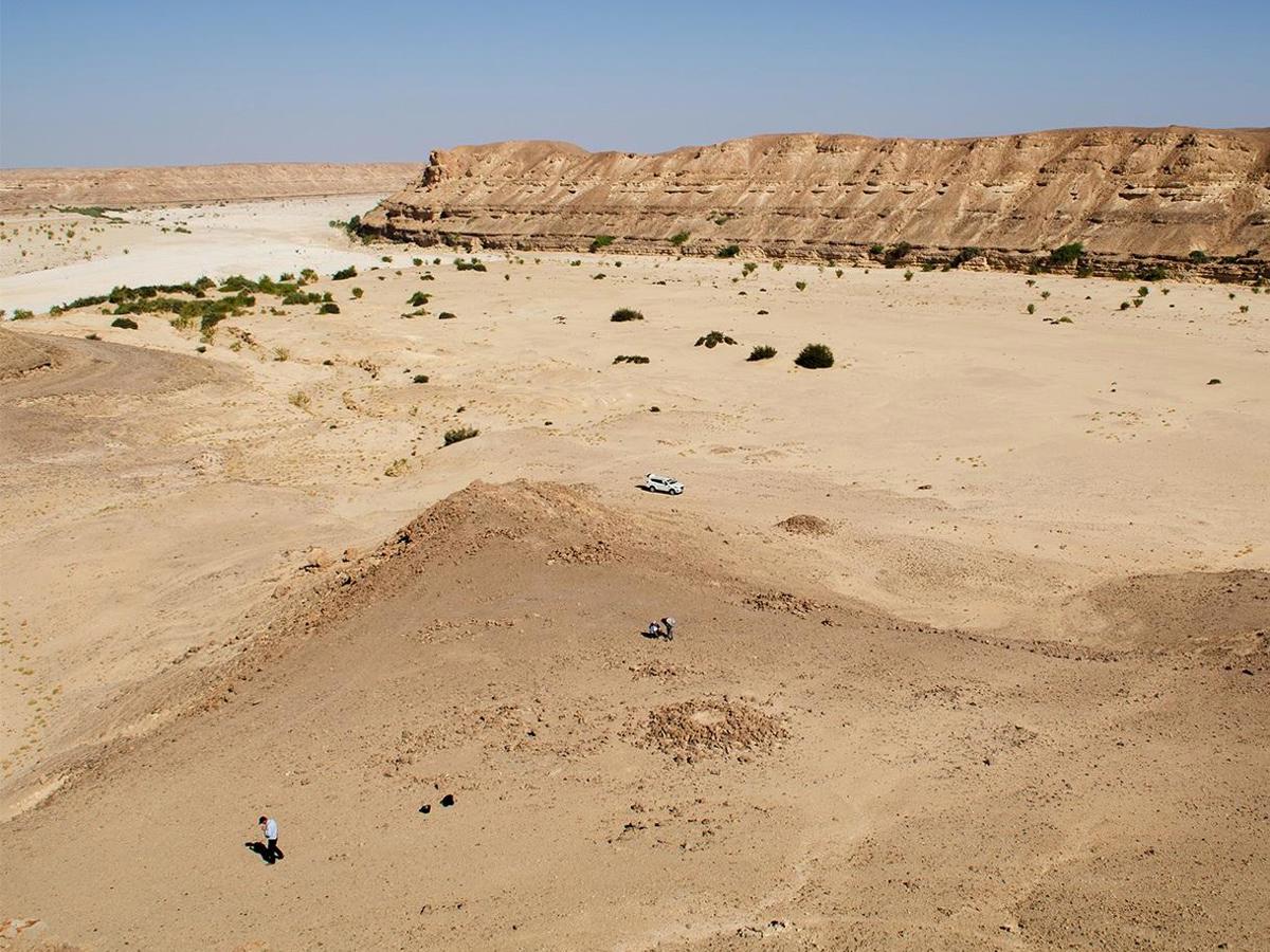 العدد الثاني من إصدار نشرة آثار — 2