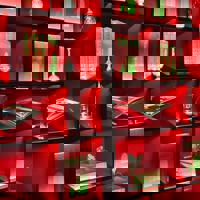 Launch of Oman Odyssey